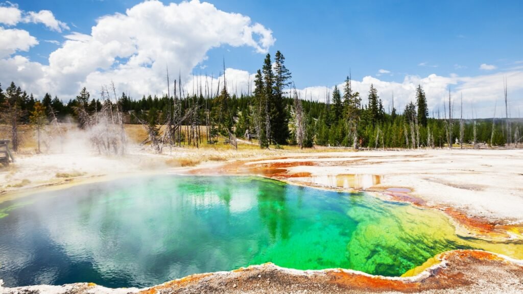 Yellowstone National Park, USA