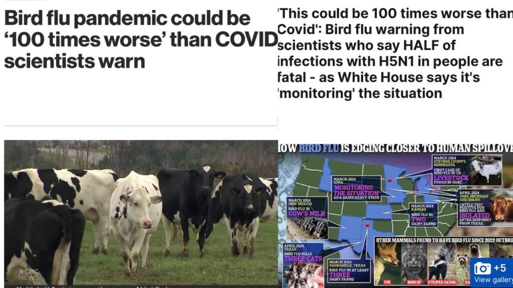 H5N1 Bird Flu