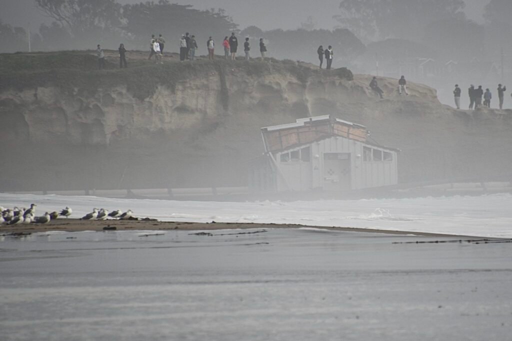 Worker Rescue Santa Cruz